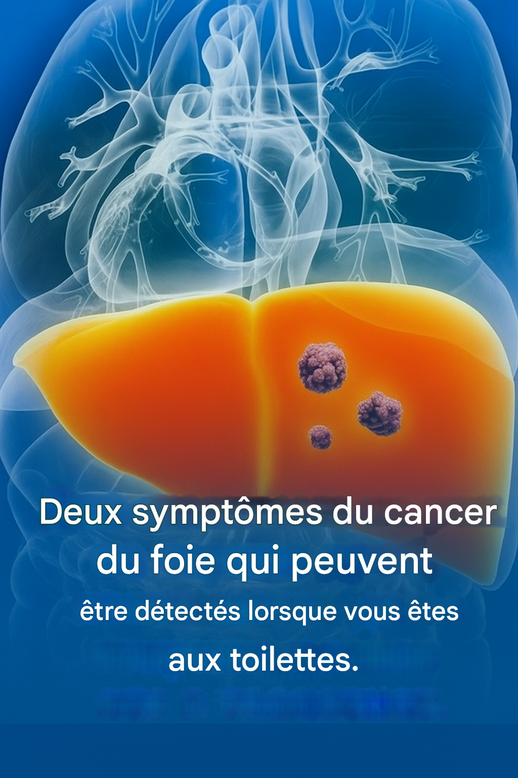 translated image 26 4