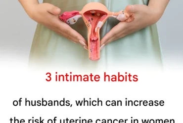 15f4a9cb abe8 4919 8c5b 06d4913b6a90