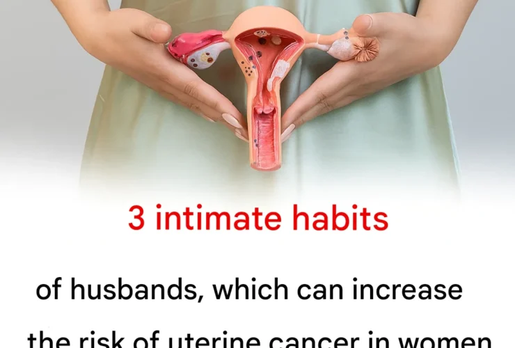 15f4a9cb abe8 4919 8c5b 06d4913b6a90