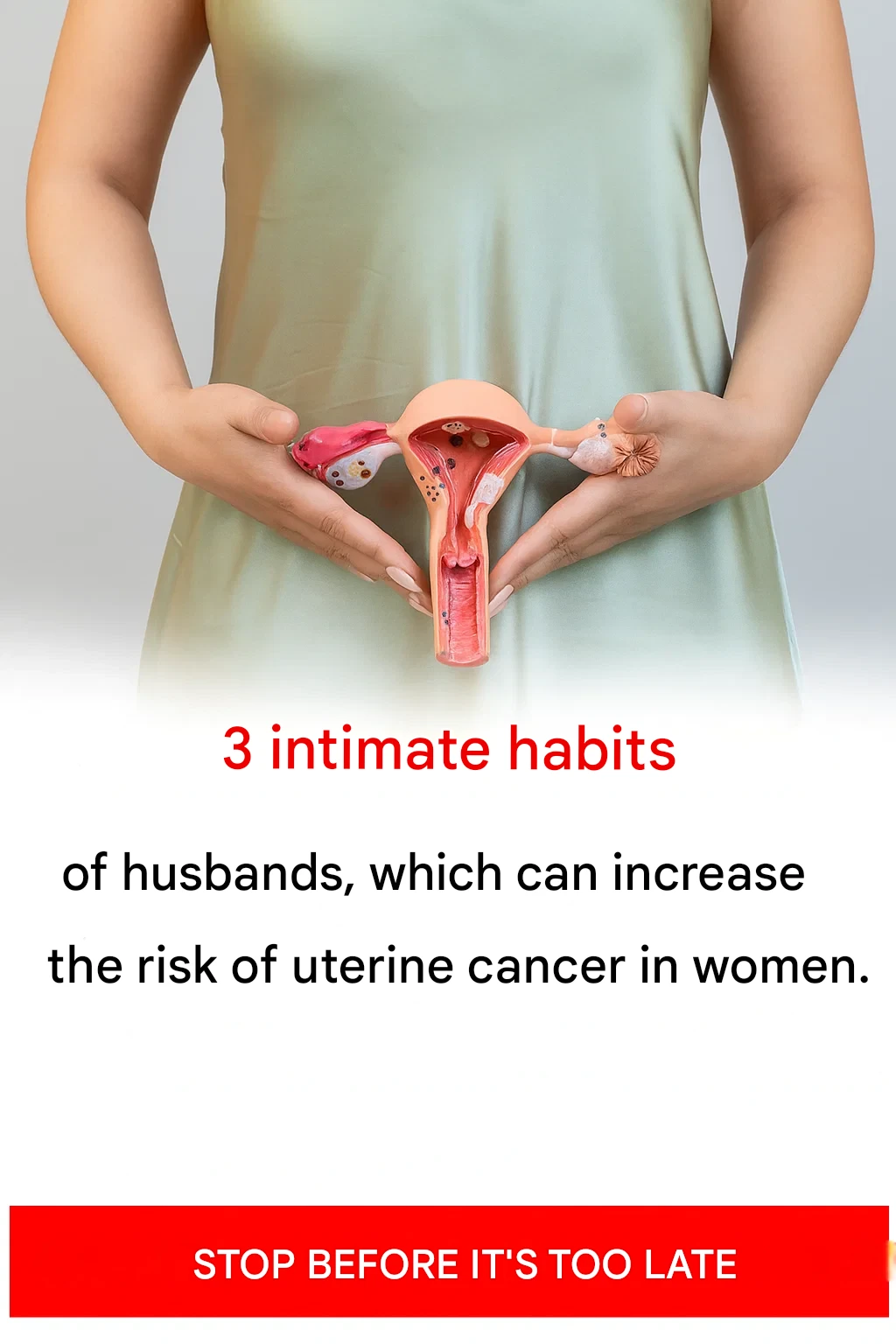 15f4a9cb abe8 4919 8c5b 06d4913b6a90