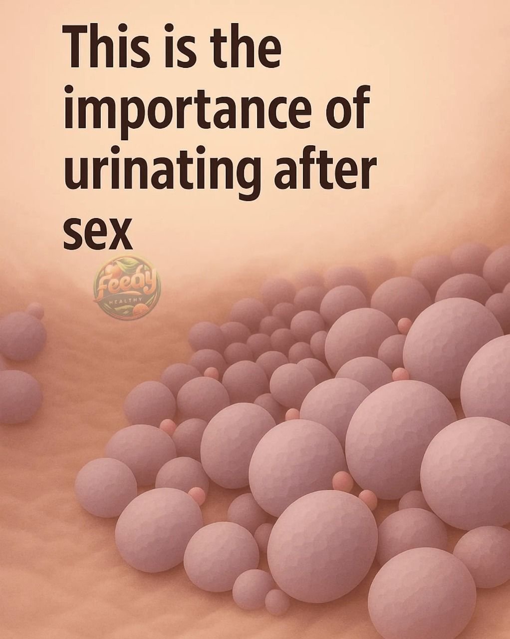 The Importance of Urinating After Sex: Preventing Infections 25 591141328 1750304829237235 7473556495173416550 n 1