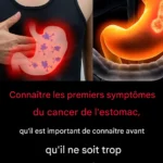 9eda9649 011d 48bd 890a b622b7f1ad18