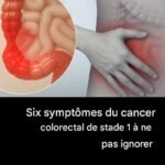 f061fe42 d4cb 4396 9cf1 cc52fb9e2232