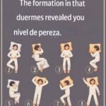 translation 20251208 195602