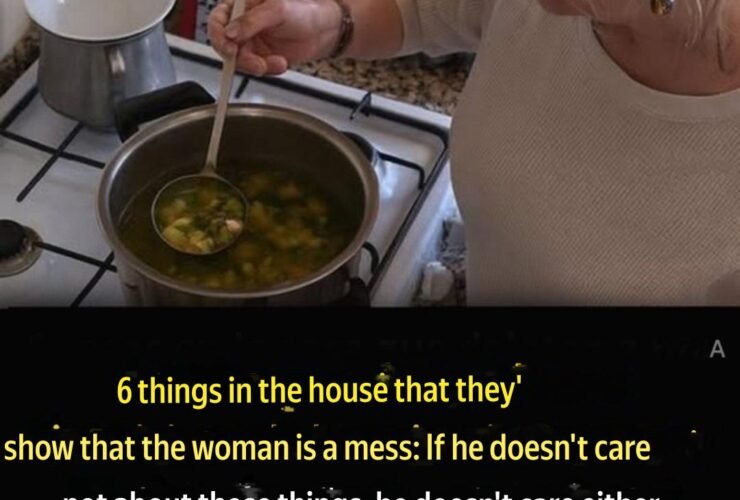 translation 20251208 232128