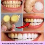 601479104 122204055776567604 2625989724186742963 n