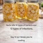 613679542 2116118988925713 5749531733619742118 n