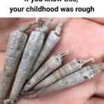 anh post 2025 12 13T163602.502