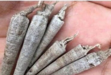 anh post 2025 12 13T163602.502