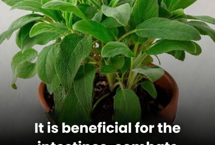 anh post 2025 12 29T090209.998