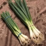 anh post 2026 01 18T134047.722