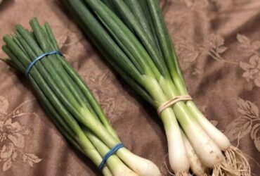 anh post 2026 01 18T134047.722