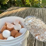 anh post 2026 01 26T110731.455