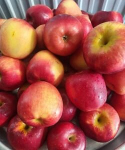 640114021 1475744473944247 6574388902812897895 n