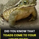 anh post 2026 01 30T084147.105