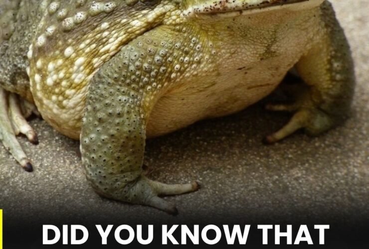 anh post 2026 01 30T084147.105