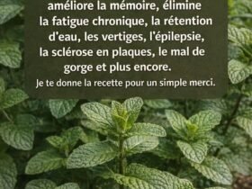 # us de menthe et citron : boostez votre mémoire et éliminez… Voir plus 30 1781349749613