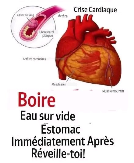 Saviez-vous que boire de l’eau à jeun pouvait l’être… voir plus 25 1781447360026