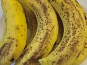 Des médecins révèlent que manger des bananes le soir entraîner… Voir plus bas 39 FB IMG 1781462780436