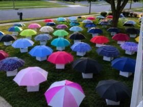 Mon fils a tendu son parapluie à une femme enceinte, sous la pluie. Le lendemain matin, 47 parapluies sont apparus sur notre pelouse, chacun dans une boîte numérotée. Mardi dernier, mon fils de 12 ans est rentré trempé ju... 39 FB IMG 1781462919408