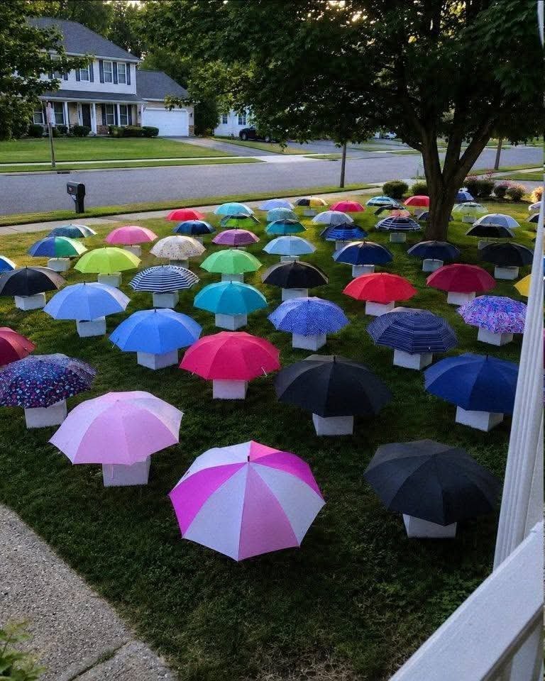 Mon fils a tendu son parapluie à une femme enceinte, sous la pluie. Le lendemain matin, 47 parapluies sont apparus sur notre pelouse, chacun dans une boîte numérotée. Mardi dernier, mon fils de 12 ans est rentré trempé ju... 25 FB IMG 1781462919408